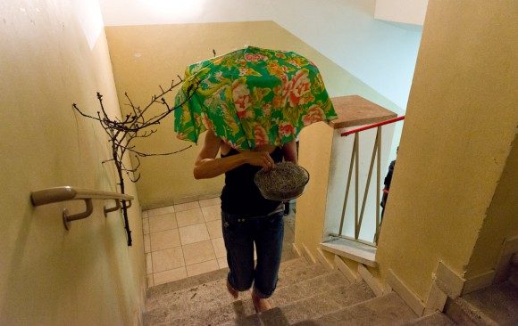 Austria Colonia 3 | Vienna