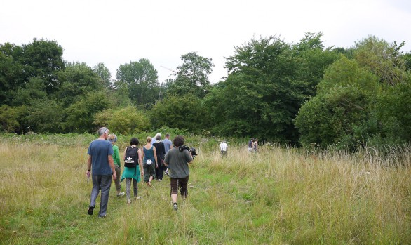 Brise 2 - day 3 | Flensburg