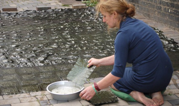 Brise 1 - day 1 | Flensburg