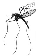 PAErsche_fein_sehr klein