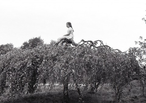 PAErsche Lab17 | Performance-Art-Conference