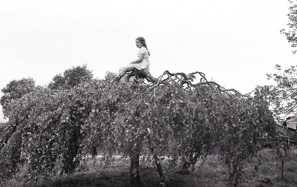 PAErsche Lab17 | Performance-Art-Conference