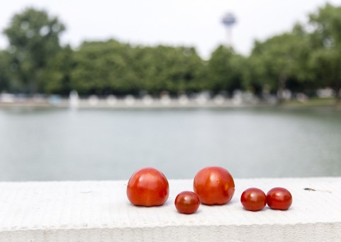 EN ROUTE | Cologne | 19.05.2018