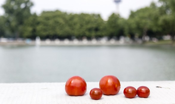 EN ROUTE | Cologne | 19.05.2018