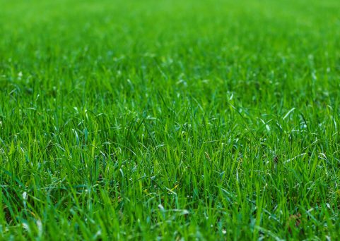 Nun endlich dieses Kribbeln | 28.03.2020