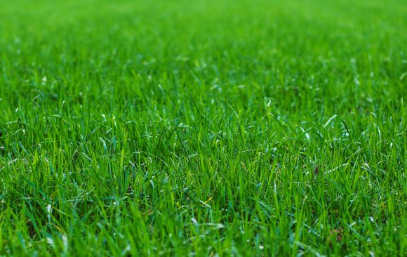 Nun endlich dieses Kribbeln | 28.03.2020