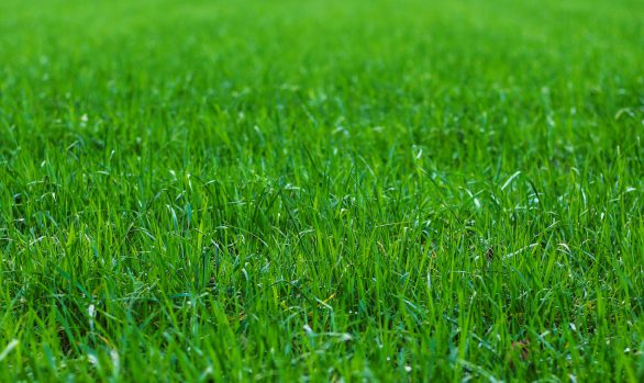 Nun endlich dieses Kribbeln | 28.03.2020